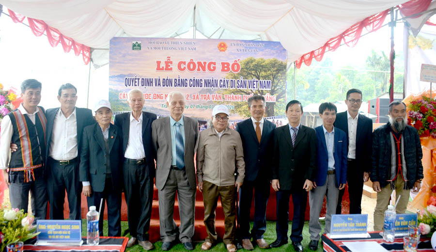 C&acirc;y[-]Quế[-]đầu[-]ti&ecirc;n[-]được[-]c&ocirc;ng[-]nhận[-]C&acirc;y[-]Di[-]sản[-]Việt[-]Nam